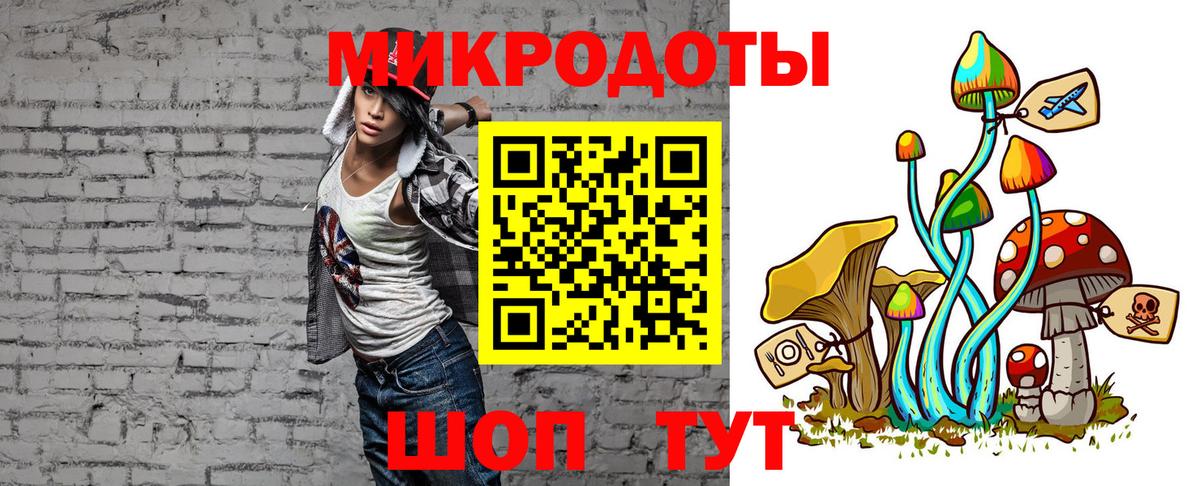 Галлюциногенные грибы Psilocybe  Вход с VPN  Вичуга 