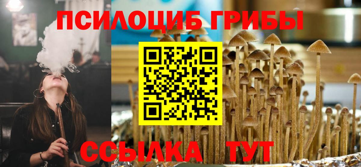 Псилоцибиновые грибы Magic Shrooms Вичуга